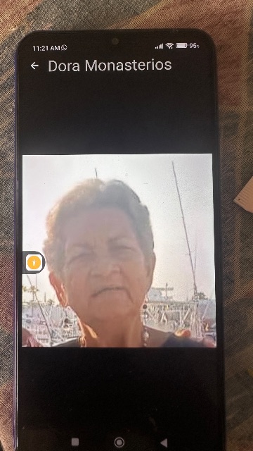 Dora Montesinos torres