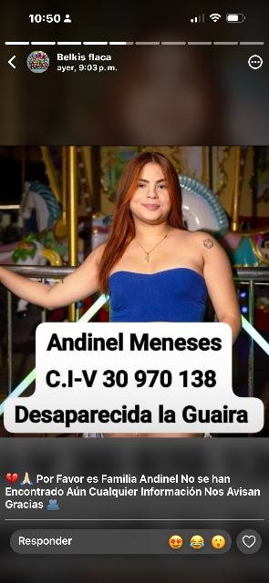 Andinel Meneses