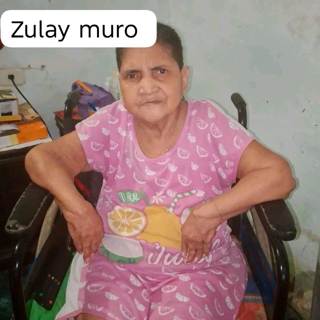 Zulay muro