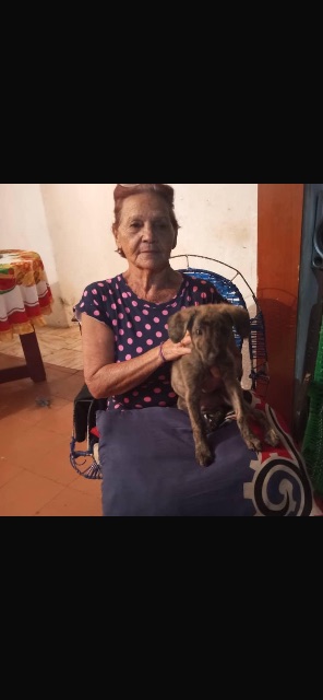 Gladys margarita González