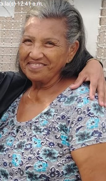ana luisa salazar machado