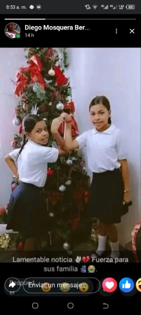 Greidelys y graibelys