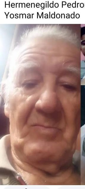 Hermenegildo pedron