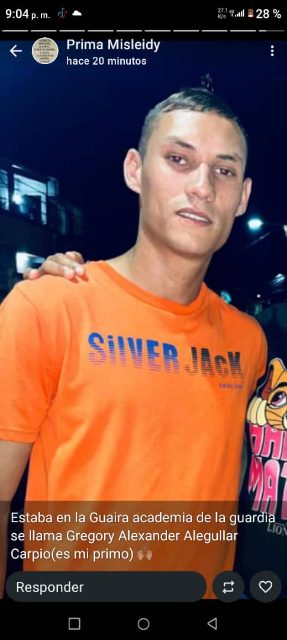 Gregori aleguller