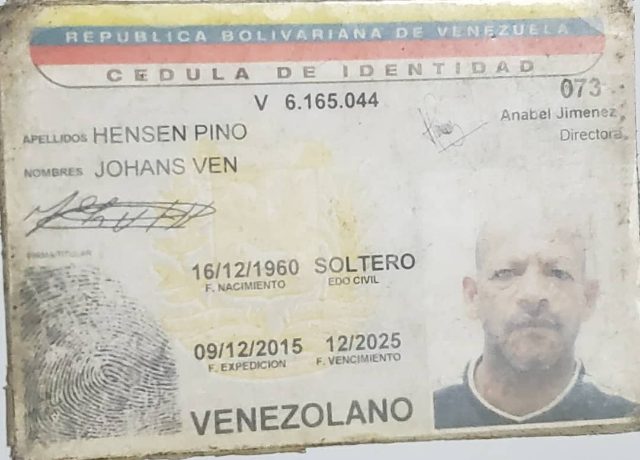 Johan van Hensen Pino